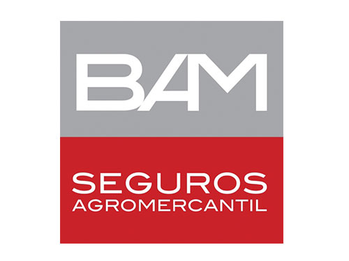 Aseguradora 2